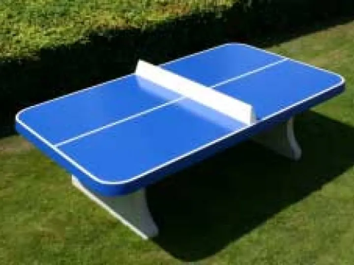 table tennis table 1