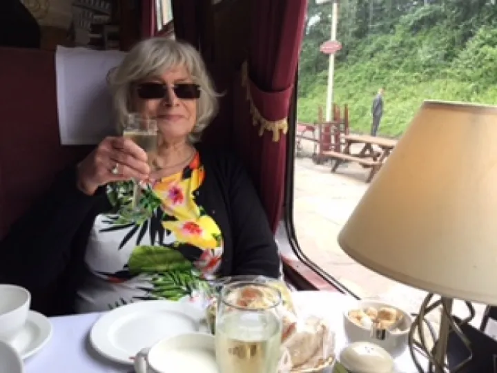 WI Janet Shuttlewood – Train