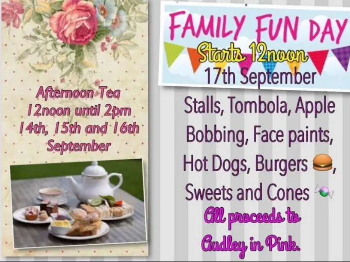 Halmer End Institute supporting Audley in Pink_B_160907