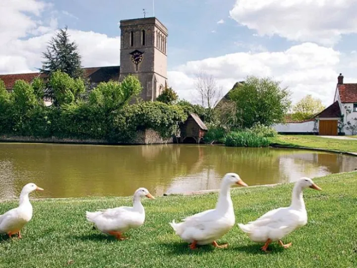 Haddm Duck Pond_low res