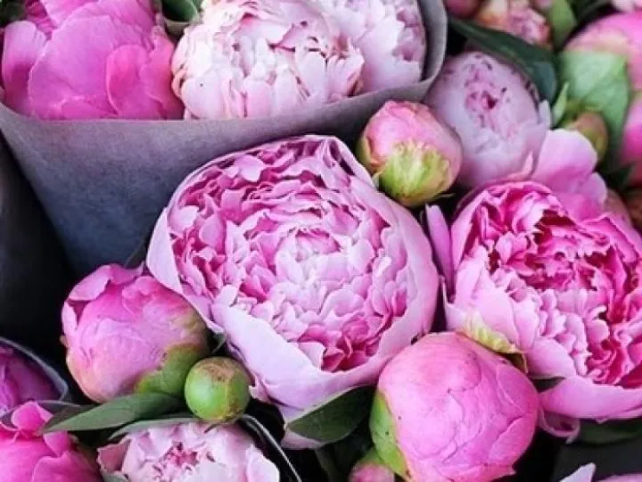 434129919e285ad9afed8c7c7d2c173a-400x360