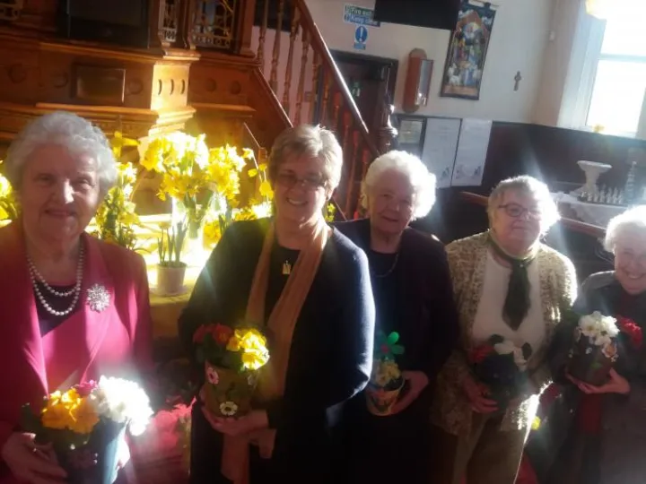 Daffodil Photos Buckley March 2017