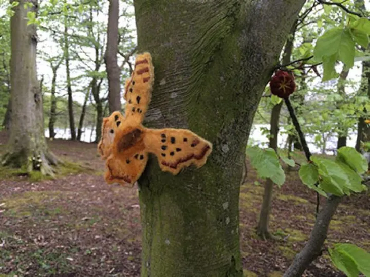 Woolen Wood _butterfly_large