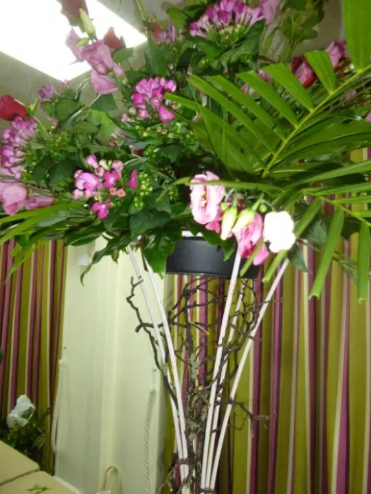 Flower Club April 2017 P1030233