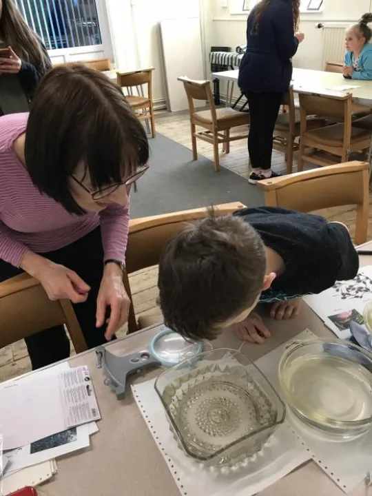 Looking for specimens