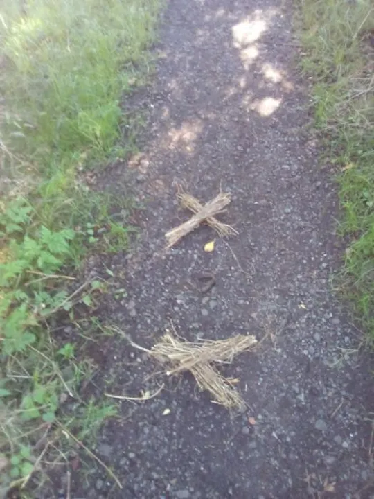 Img_20170813_103034 (1)