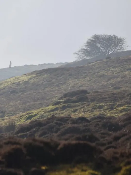 CRTA-Hotbuckle-WutheringHeights-smaller-size-725x1024