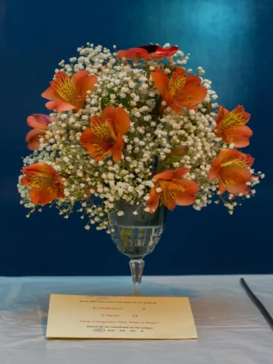 Spring Flower Display 4