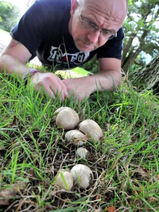 imgID39055582-jpg-gallery