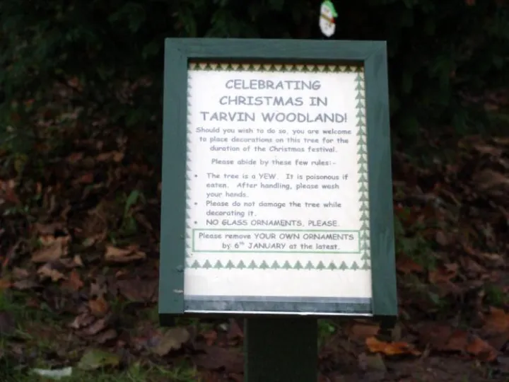 Christmas Tree Rules Sign