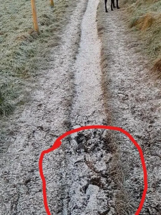 InkedWhirley path1_LI