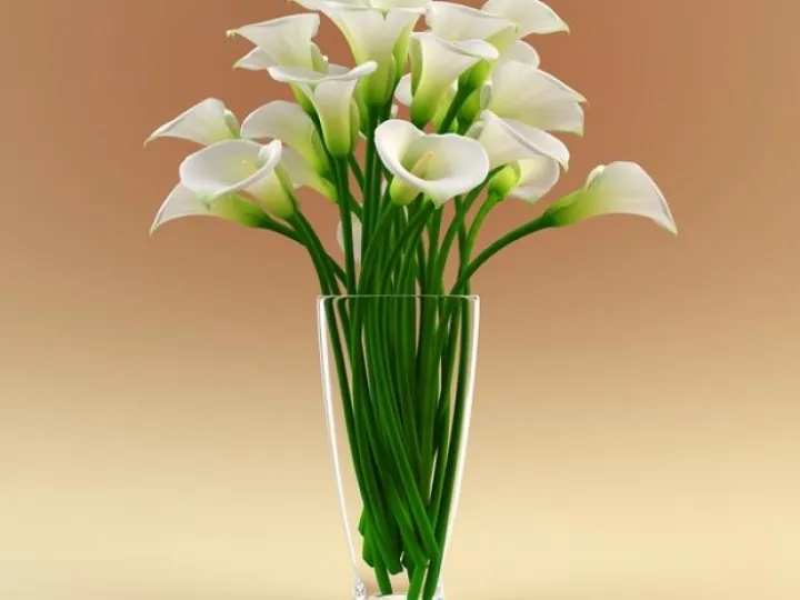 3ds-max-vase-calla-flowers-calla-flower-in-vase-4-msdessi-vase-with-flowers