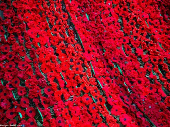 39F4068A00000578-0-image-a-14_1478021213553