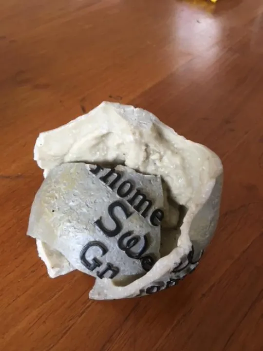 Gnome Damage Img_2226