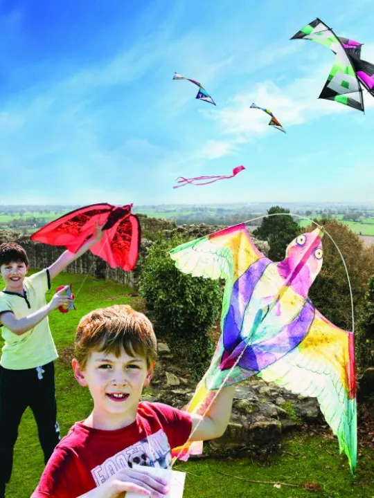 Beeston Kite Festival