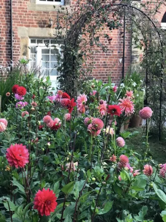 Garden musings Sept 2018