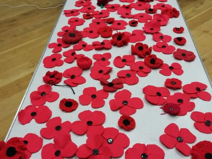 Guides Poppies