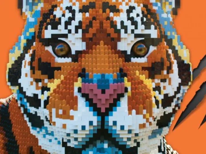 LEGO-tiger-featured-800-445-800x445 – Copy