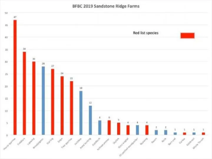 Slide 1 double resize
