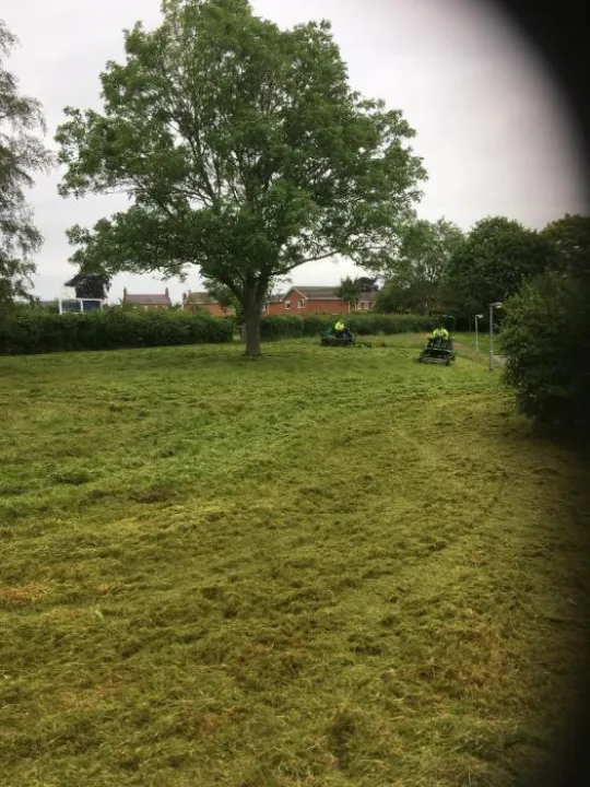 TCC Grass Cutting