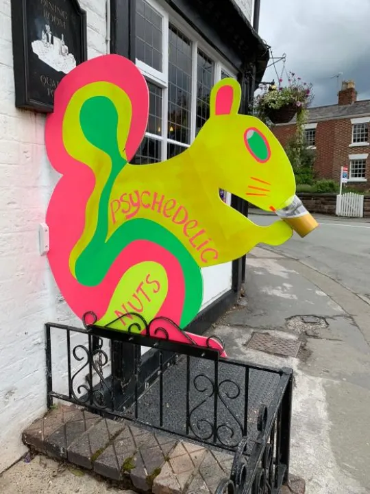 Psychedelic Nuts