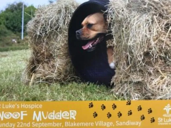 Image: 68914080_454976478416924_4663227614549245952_n