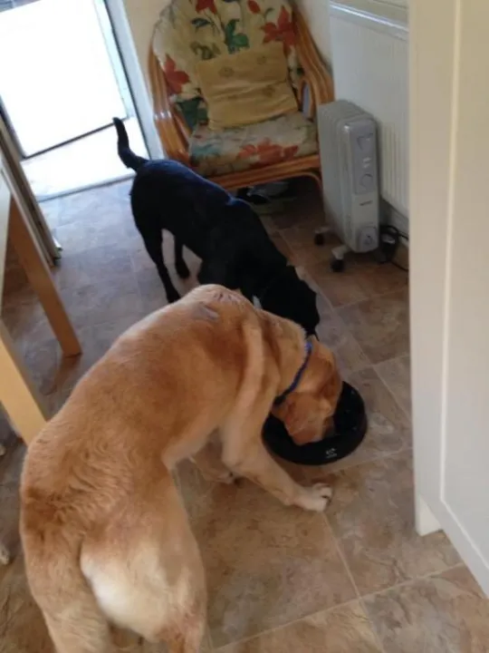 F73C371D-1763-4817-B9B6-3860CCE82251