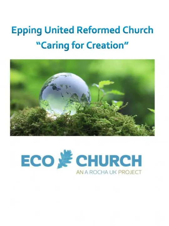 Eco Church Logo