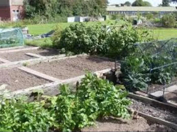 Allotments