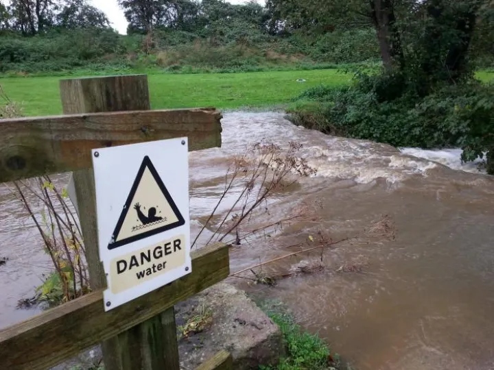 Badger20191026_153742