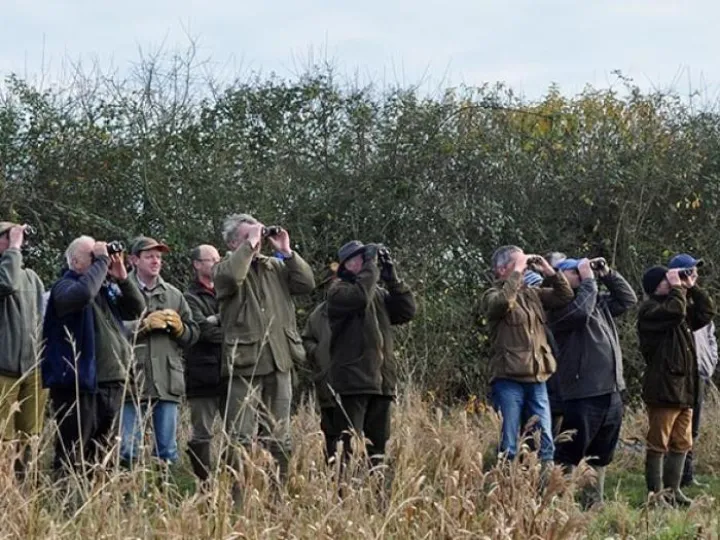 Big_Farmland cropped