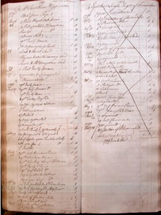 transcription text for lsd page