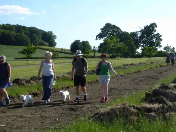 Waddesdon Greenway 02