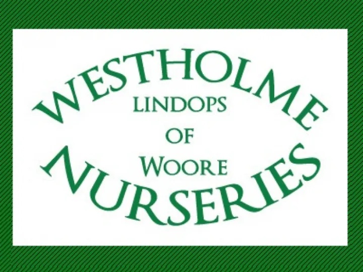westholme