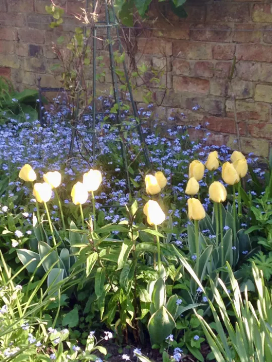 F6565233-9D2A-4508-96B2-DECF86B89040_1_201_a