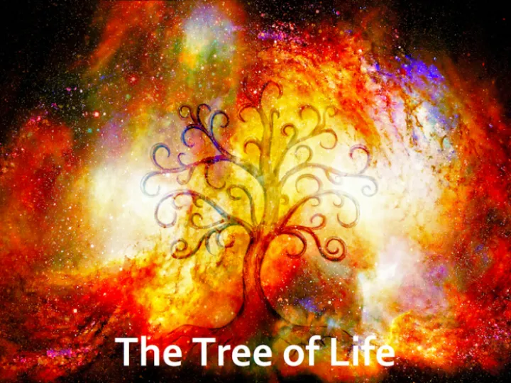 Tree of Life 01