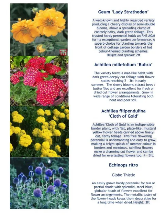 Plant Details 2020 Part 2  05-20_200511_page_001