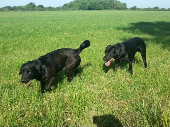 Image: 20200528_092146