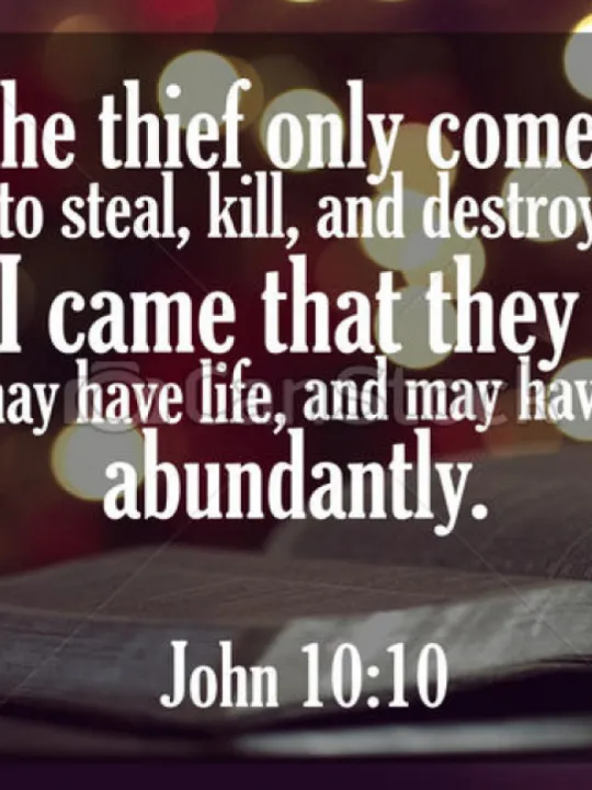 John 10-10