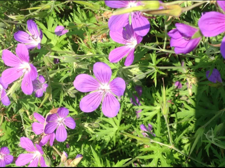 A546422C-A39B-496C-8796-175502A81DBC