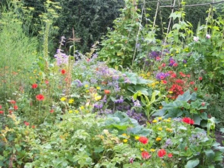 Coxbank garden