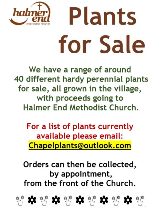 Plants for Sale v3
