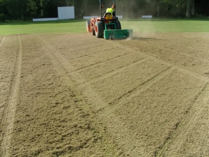 Cricket end of season