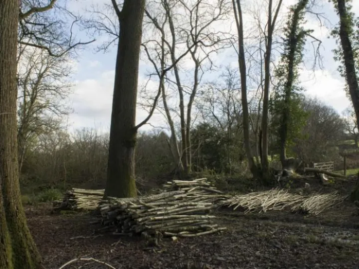 coppice-products-1440-js-M429566