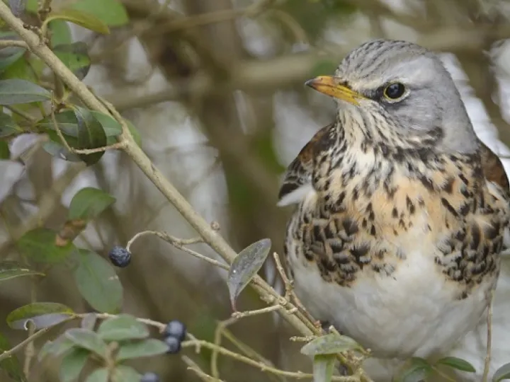 DA89A63E-53AC-4571-9644-FE2CCC3DFB83