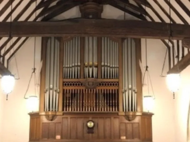 organ