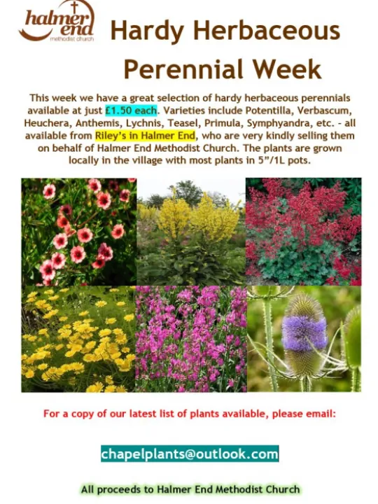 Rileys Flyer 26-04-21