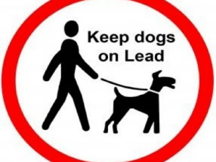 Keep dogs on leads