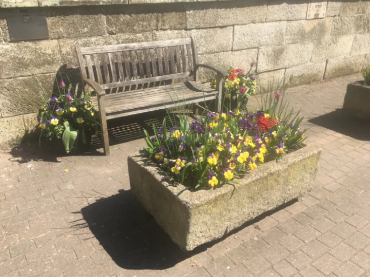 Spring Flowers by St. James