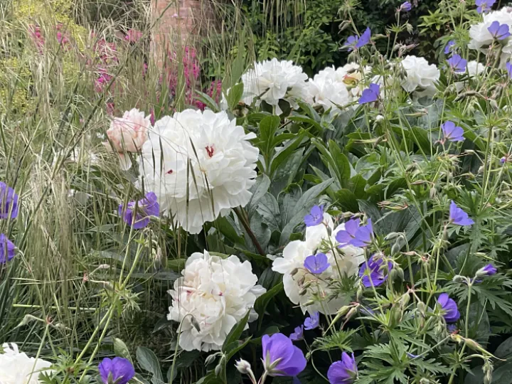 Image: 29E42C5A-DE82-415A-9F32-3E1535C6E717